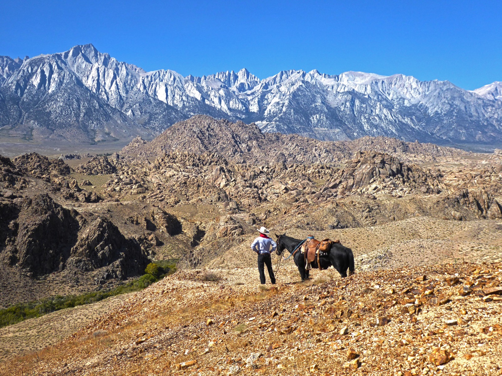 A person in a cowboy hat stands beside a saddled black horse on a rocky desert overlook, facing a dramatic range of snow-dusted mountains under a clear blue sky.