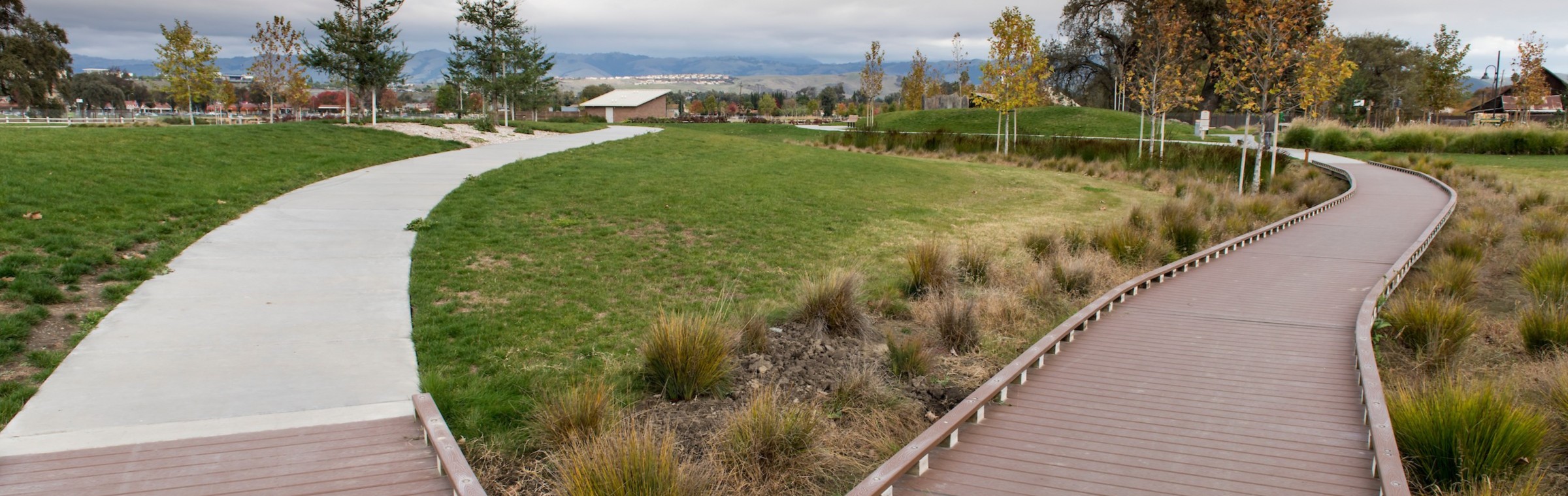 Martial Cottle Park SRA Trail Split