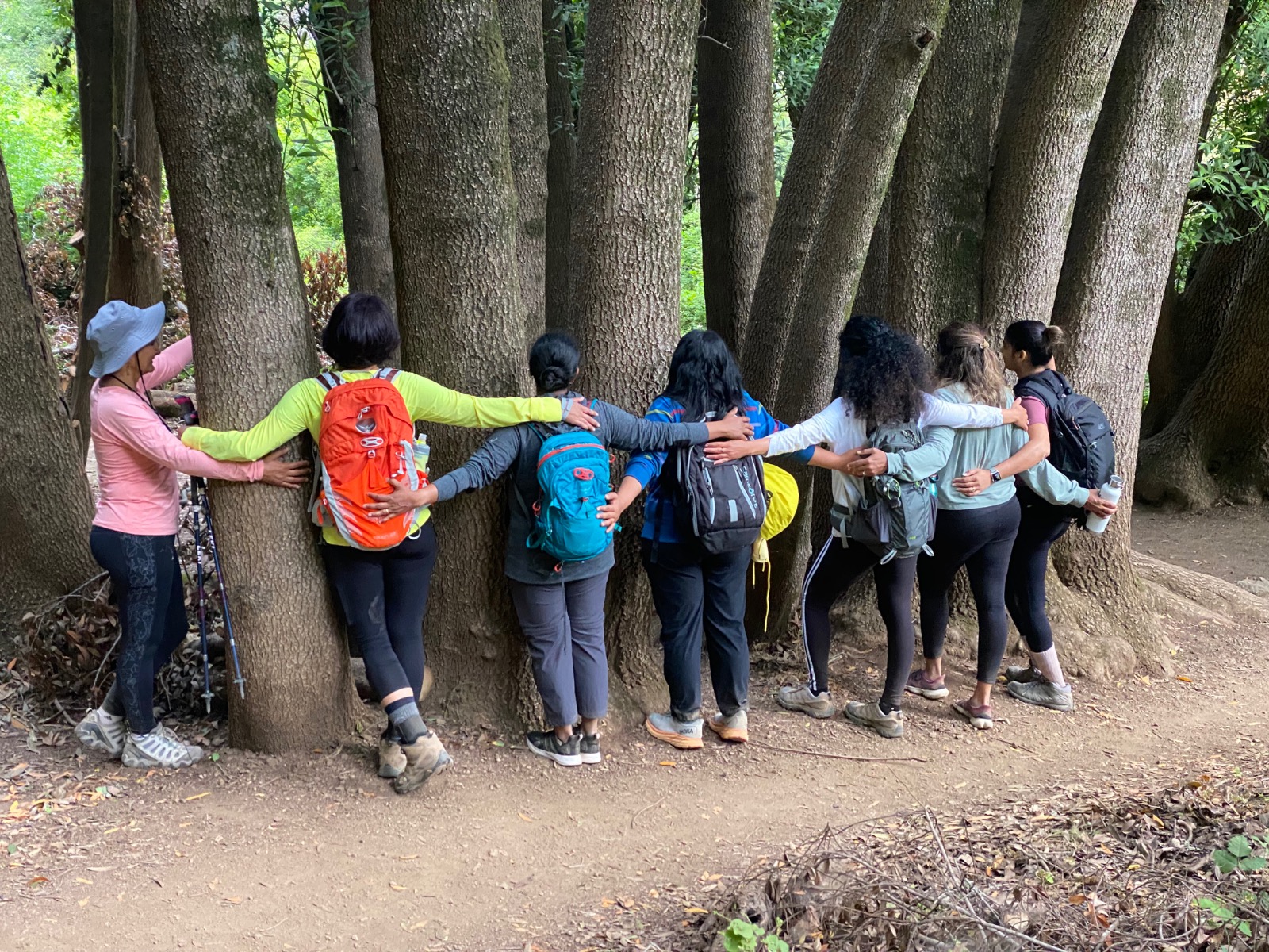 A group of hikers with backpacks stand shoulder to shoulder with their arms around one another and the trunks of a large multi-stemmed tree along a forest trail.