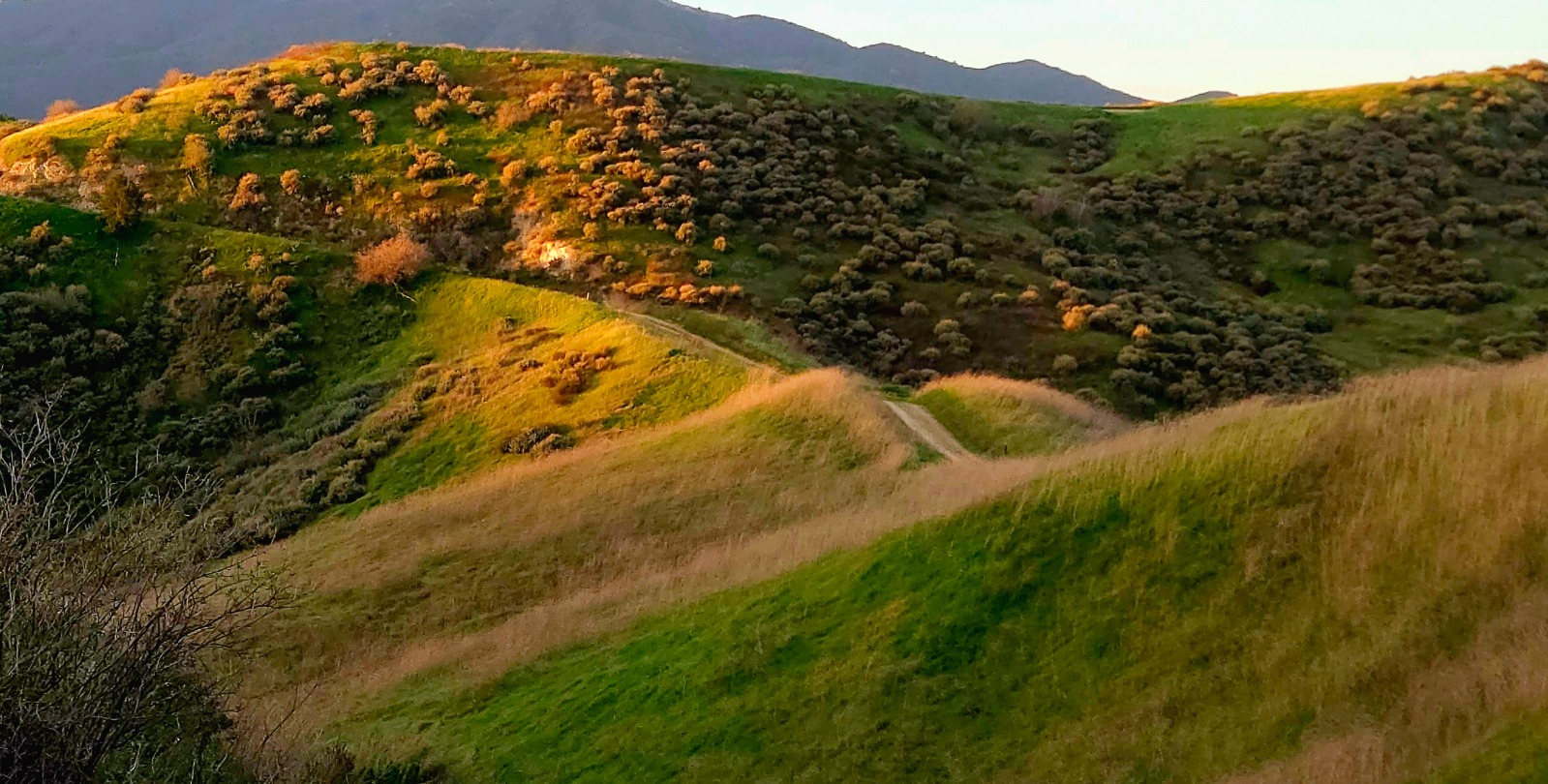 Rolling green hills with dry grasses and scattered shrubs glow in warm evening light, with a narrow dirt trail winding through the landscape and darker mountains in the distance.